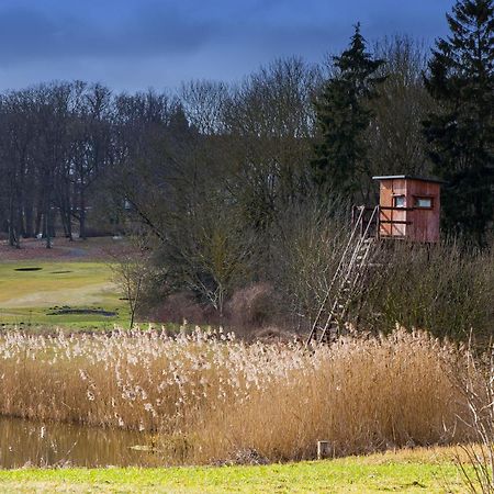 Tiny House Fleesensee Mit Eigenem Garten Und Nur Wenige Meter Vom Seeufer Goehren-Lebbin Exterior photo